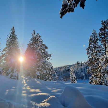 Ro I Sjelen. Hytte Til Leie Pa Skrim. Kongsberg Buitenkant foto