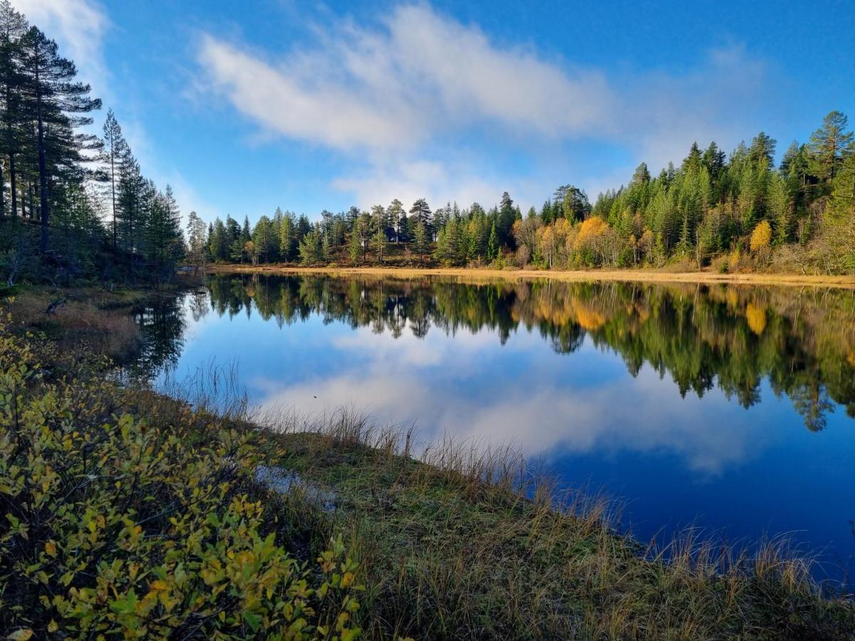Ro I Sjelen. Hytte Til Leie Pa Skrim. Kongsberg Buitenkant foto
