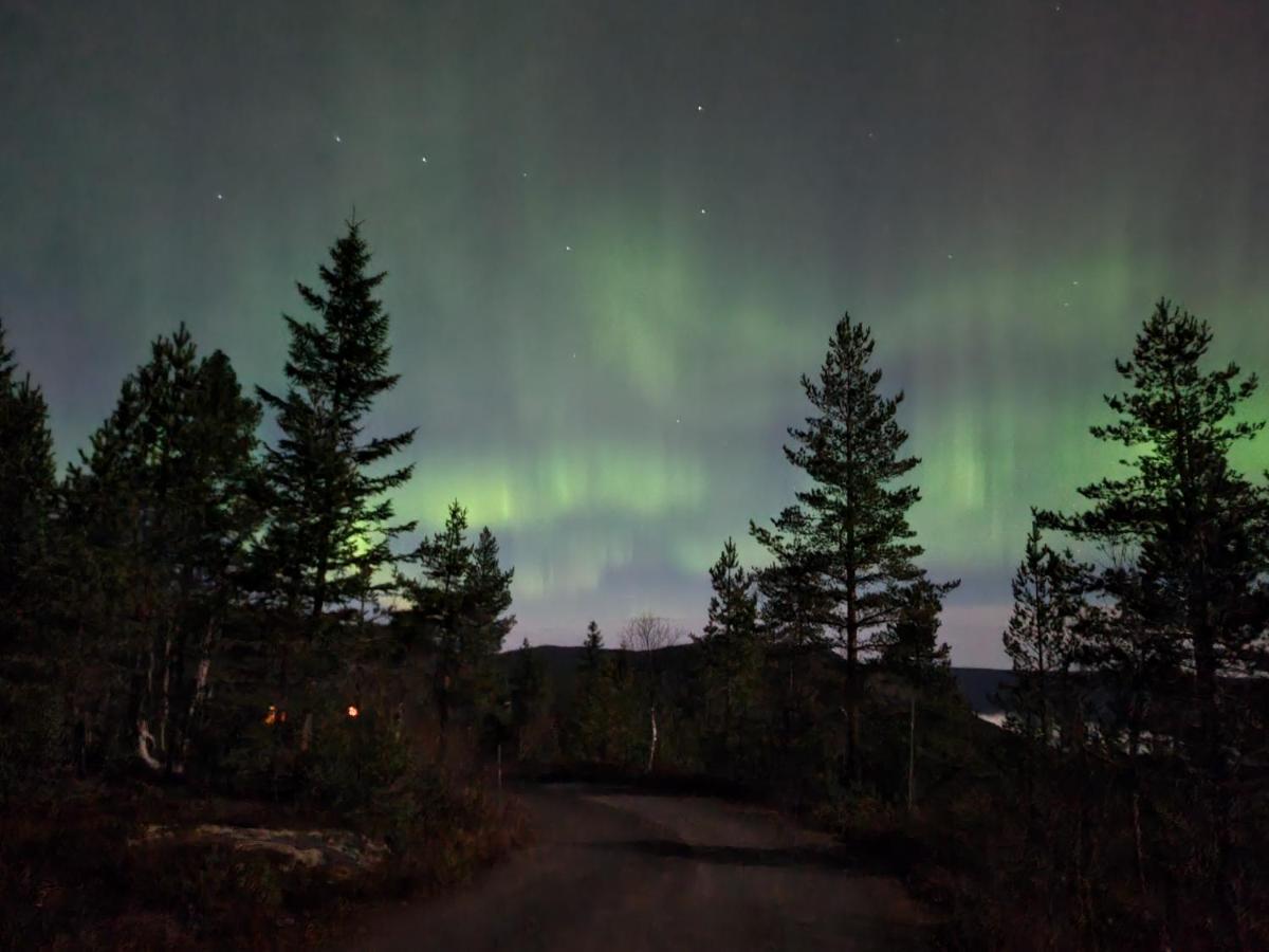 Ro I Sjelen. Hytte Til Leie Pa Skrim. Kongsberg Buitenkant foto