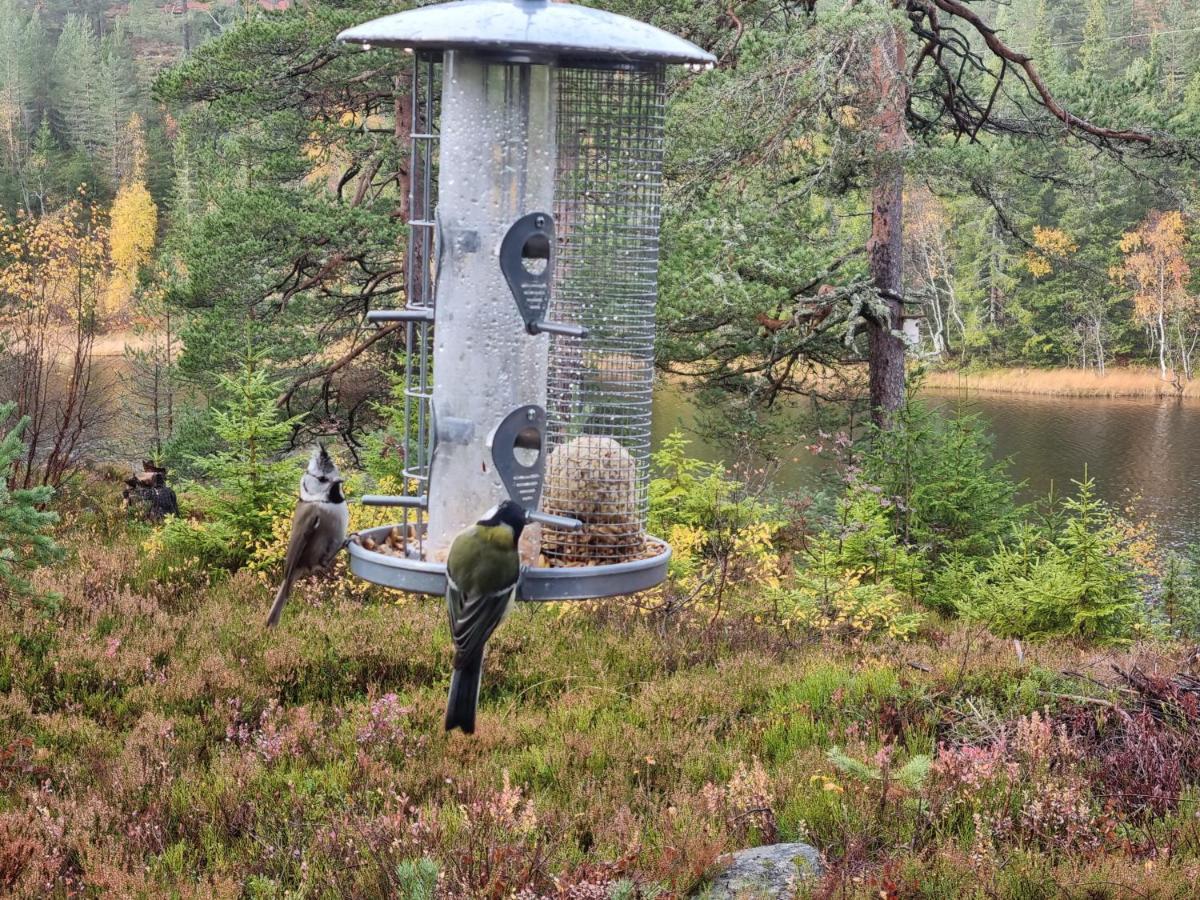 Ro I Sjelen. Hytte Til Leie Pa Skrim. Kongsberg Buitenkant foto