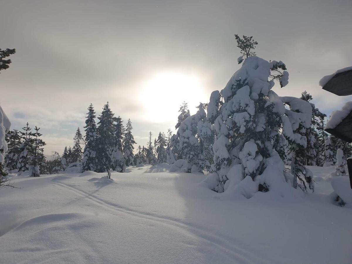 Ro I Sjelen. Hytte Til Leie Pa Skrim. Kongsberg Buitenkant foto