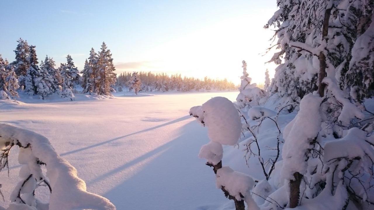 Ro I Sjelen. Hytte Til Leie Pa Skrim. Kongsberg Buitenkant foto