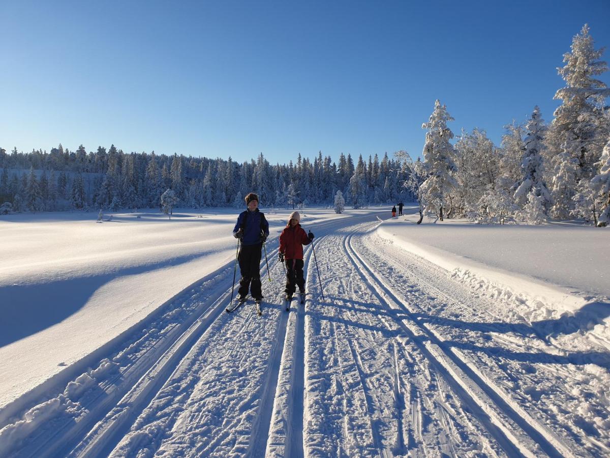 Ro I Sjelen. Hytte Til Leie Pa Skrim. Kongsberg Buitenkant foto