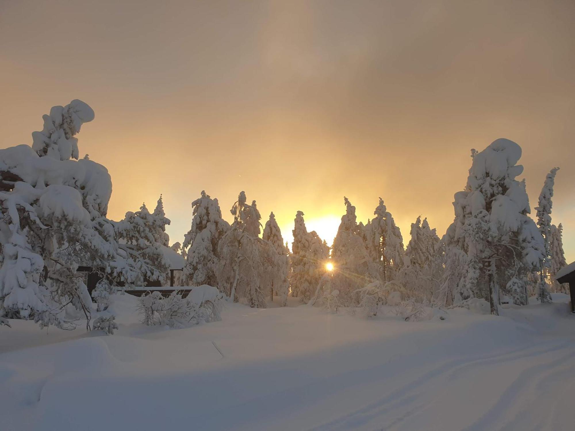 Ro I Sjelen. Hytte Til Leie Pa Skrim. Kongsberg Buitenkant foto