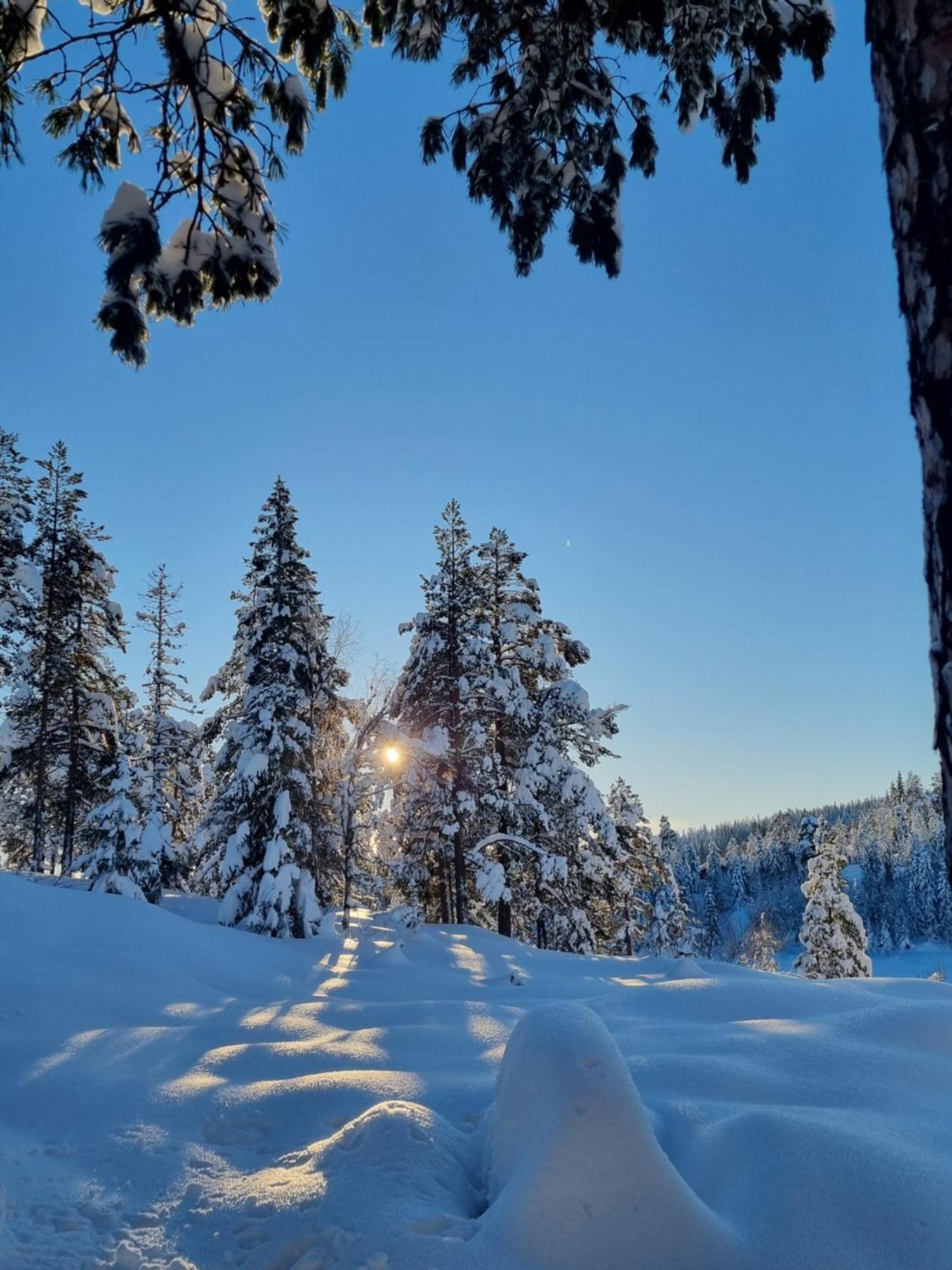 Ro I Sjelen. Hytte Til Leie Pa Skrim. Kongsberg Buitenkant foto