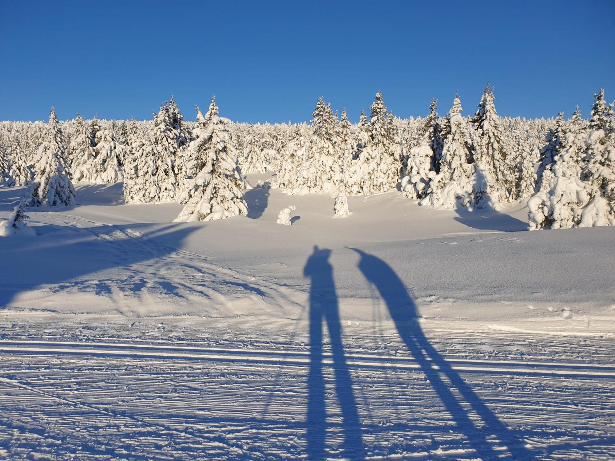 Ro I Sjelen. Hytte Til Leie Pa Skrim. Kongsberg Buitenkant foto