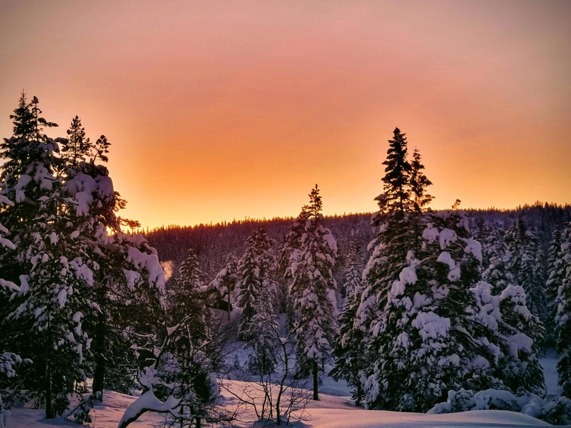 Ro I Sjelen. Hytte Til Leie Pa Skrim. Kongsberg Buitenkant foto