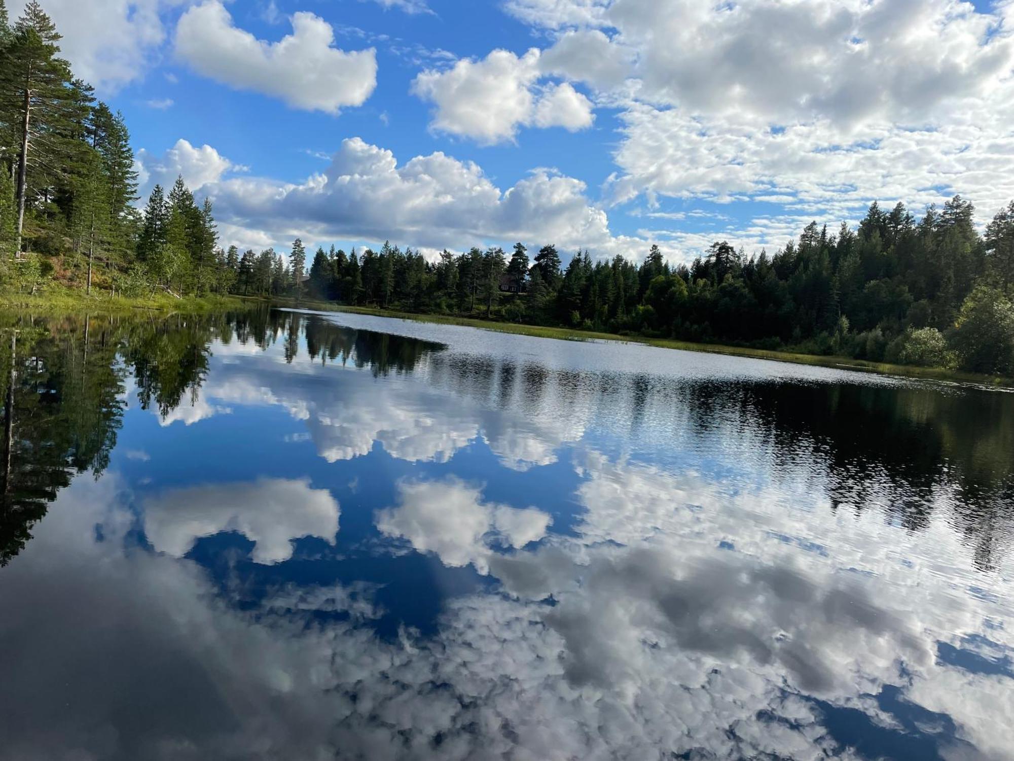 Ro I Sjelen. Hytte Til Leie Pa Skrim. Kongsberg Buitenkant foto