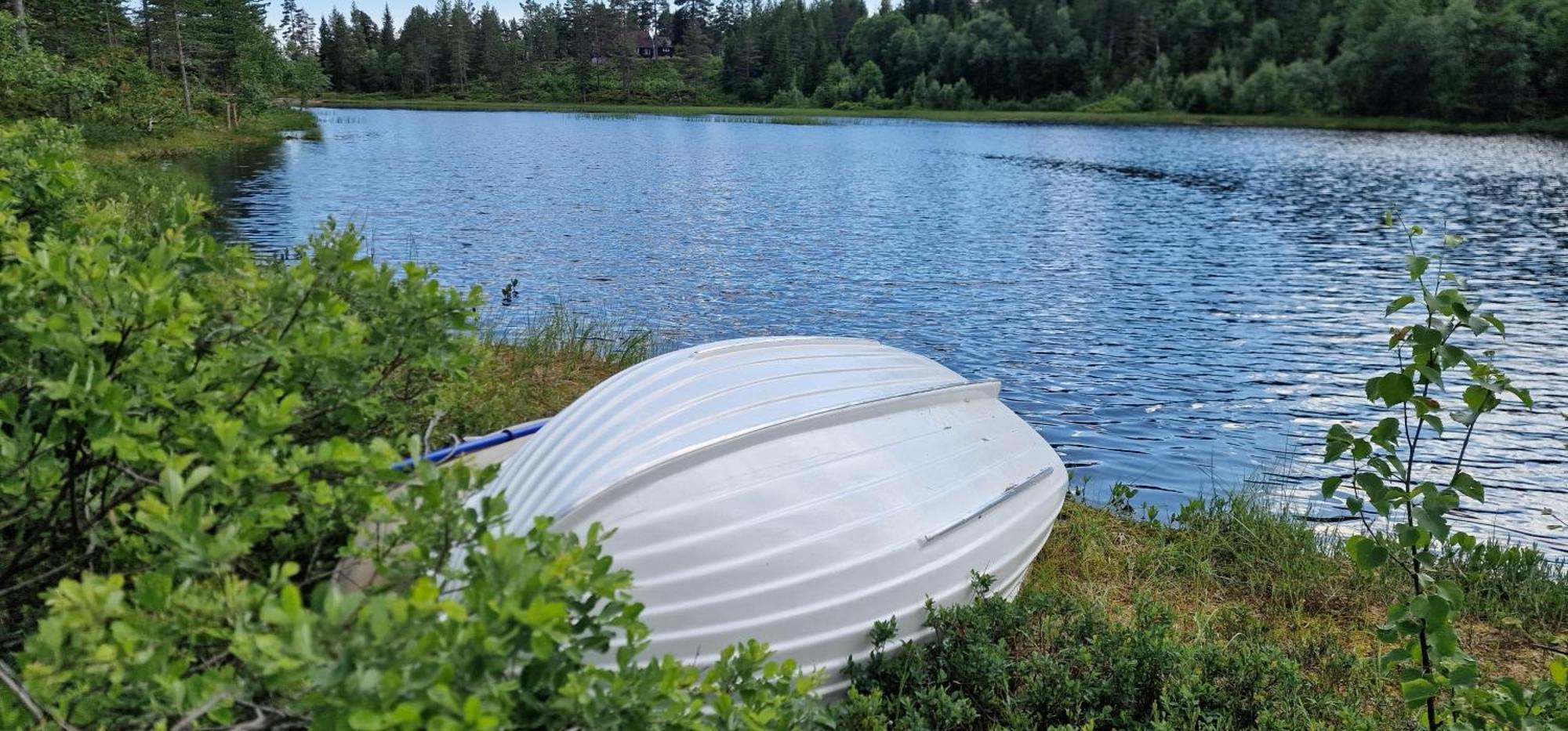 Ro I Sjelen. Hytte Til Leie Pa Skrim. Kongsberg Buitenkant foto